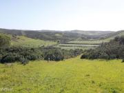 Terreno Rstico com 2.800 m na Raposeira, Vila do Bispo