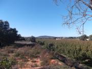 Terreno+ Ruina para reconstruir, 5 min da Fuseta