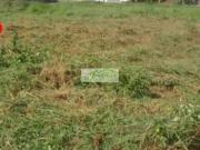 Terreno, Ruínas, Peruíbe, SP