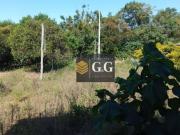 Terreno rural bem localizado em Itapuã RS Terreno rural bem localizado em Itapuã RS