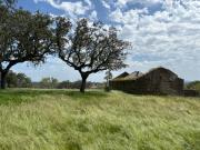 Terreno Rural com 168000m2 e Ruína com 48m2, Terena,...