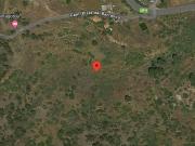 Terreno rural en alquilar. Puntagorda