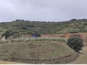 TERRENO RURAL EN DEHESA DE LOS HUEROS