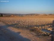 Terreno rural en Venta en Almansa, Albacete