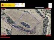 Terreno rural en Venta en Almansa, Albacete