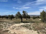 Terreno rural en Venta en Casas Abiar, Alicante