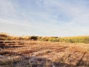 Terreno rural en Venta en Castrillo de Murcia, Murcia