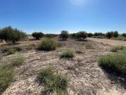 TERRENO RURAL EN VENTA EN MAZARRON