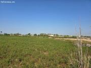 Terreno rural en Venta en Valverde Alicante, Alicante