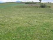Terreno rural en venta. Ponferrada