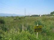 Terreno rural en venta. Ponferrada