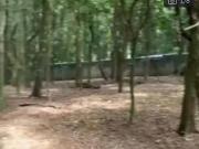 Terreno, Rural, Ibiuna, SP