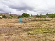TERRENO RURAL VALLADO EN ALHAMA DE MURCIA REF 539