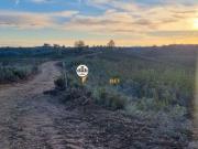 Terreno rúsitico com 94720m2, Venda, Benquerenças |...