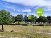 Terreno Rústico 11,425 Ha |Amareleja