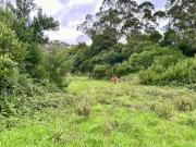 TERRENO RUSTICO 11.640m2 PENEDO, COLARES, SINTRA
