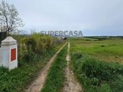 Terreno Rústico | 14160m2 | Sintra | Fontanelas | Av....