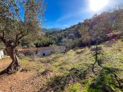 Terreno rustico 150000 m2