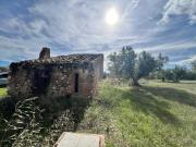 Terreno rustico 17344 m2