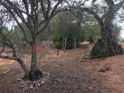 TERRENO RUSTICO