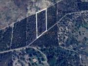 Terreno Rústico | 2 Hectares | Santo Isidro de Pegões |...