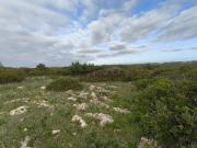 Terreno Rústico 4.500 m² perto da Praia