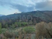 Terreno rustico 61171 m2