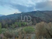 Terreno rustico 61171 m2 m² Xerta