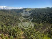 Terreno Rústico 6.25ha