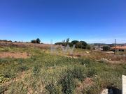 Terreno Rústico 7160m² em Almargem do Bispo, Sintra