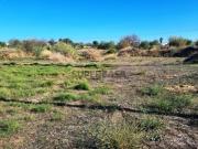 Terreno rústico Terreno rústico