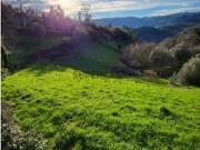 Terreno Rústico 8500 m² em Abadim, Cabeceiras de Basto