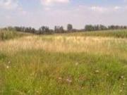 TERRENO RÚSTICO 9,636 m2, INVERSIONISTAS, LA BARBOSA,...