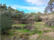 Terreno Rústico a 15 minutos de Castelo Branco