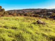 Terreno rústico a 4km do Centro de Leiria. Tem uma...