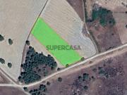 Terreno rústico a 800m da EN332, Junça, Almeida Terreno rústico a 800m da EN332, Junça, Almeida