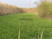 Terreno rustico à venda em Famalicão, Nazaré