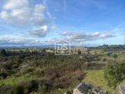 Terreno Rústico, Alcains, Castelo Branco | BPI Expresso...