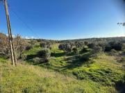 Terreno Rústico, Alcantarilha e Pêra, Silves | BPI...