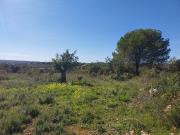 Terreno rústico, Alcantarilha e Pêra, Silves | BPI...