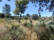 Terreno Rústico, Aldeia Do Bispo, Águas e Aldeia de João...