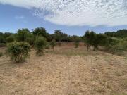 Terreno Rústico Alfambras