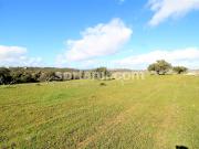 Terreno Rústico, Algoz e Tunes, Silves | BPI Expresso...