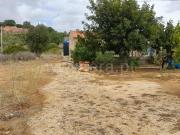 Terreno Rústico, Algoz e Tunes, Silves | BPI Expresso...
