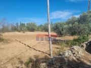 Terreno Rústico Bonita Vista