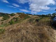 Terreno Rústico c/ 2 Artigos, Arrecadação e Tanque –...