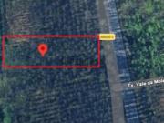 TERRENO RÚSTICO C/ VIABILIDADE DE CONSTRUÇÃO INDUSTRIAL...