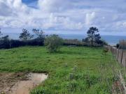 Terreno rústico, Caldas Da Rainha Santo Onofre e Serra...