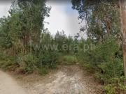 Terreno Rústico, Canelas e Fermelã, Estarreja | BPI...