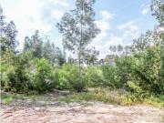 Terreno rústico Carvoeiros, Sta. Eufémia LEIRIA | LEILÃO...